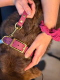 Collier Vignoble