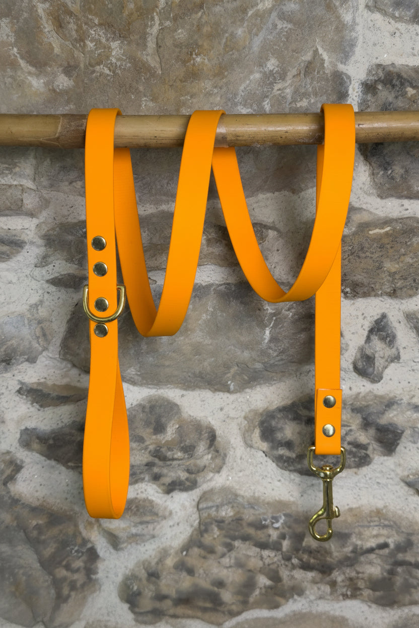 Laisse simple Canyon