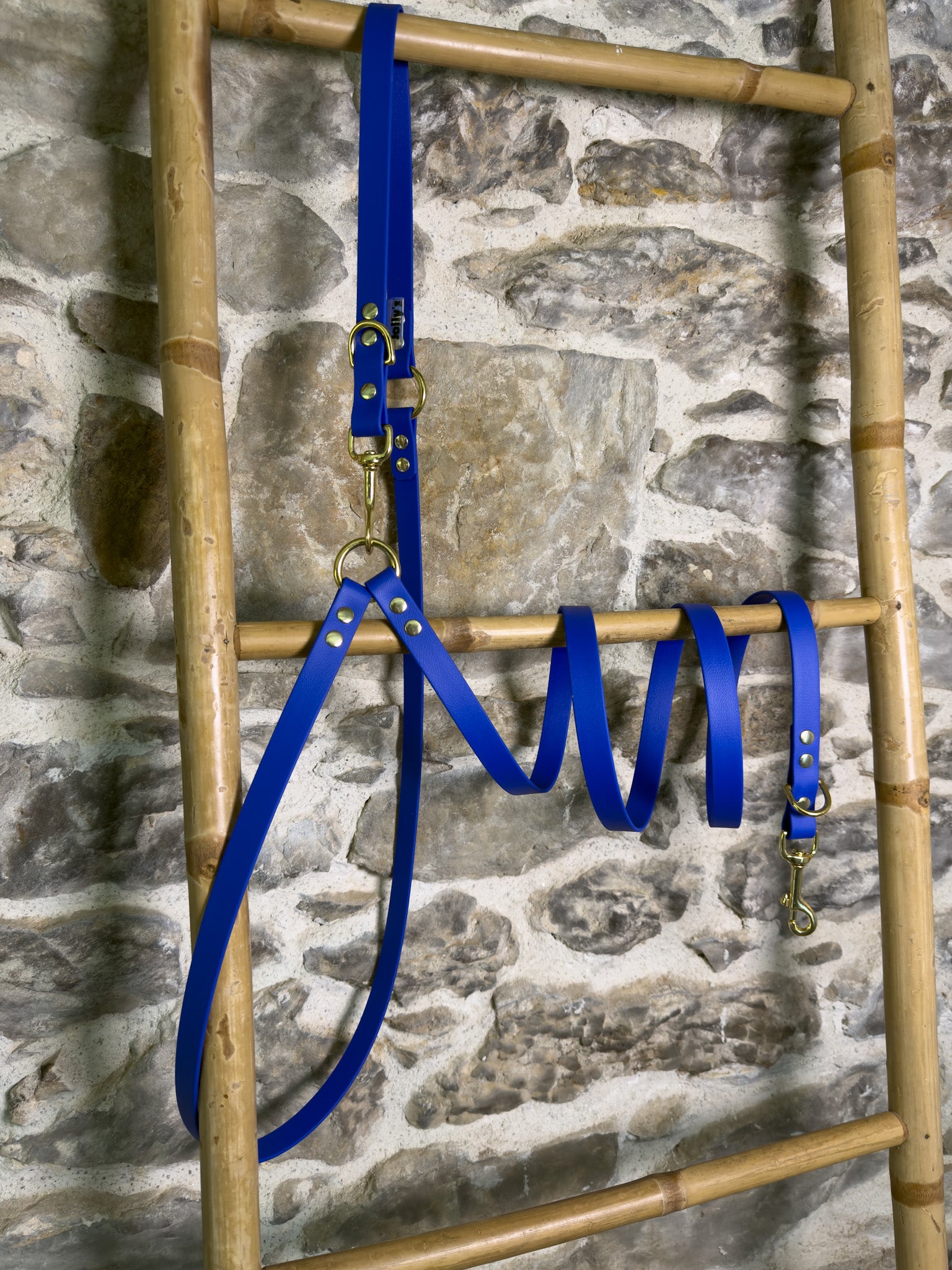 Laisse multi-position Abyss