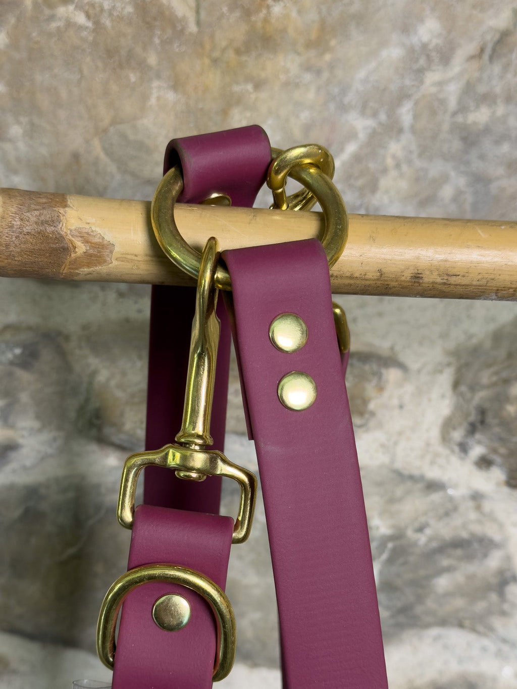 Laisse multi-position Vignoble