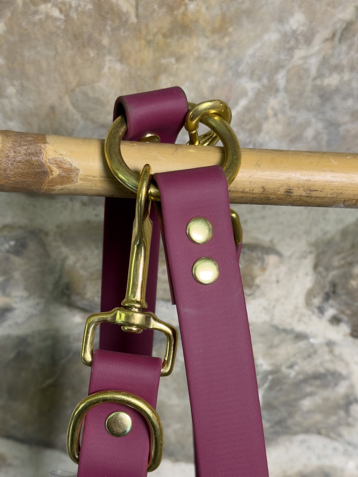 Laisse multi-position Vignoble