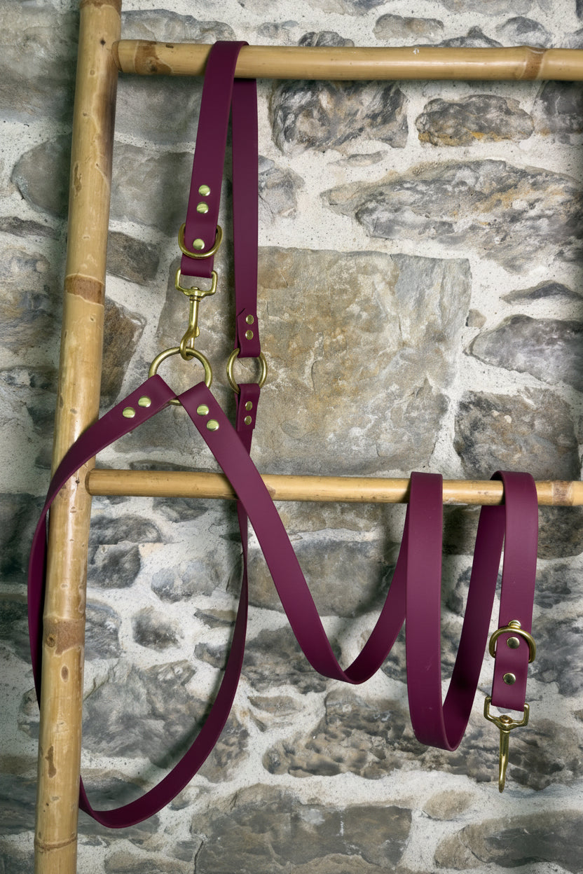 Laisse multi-position Vignoble
