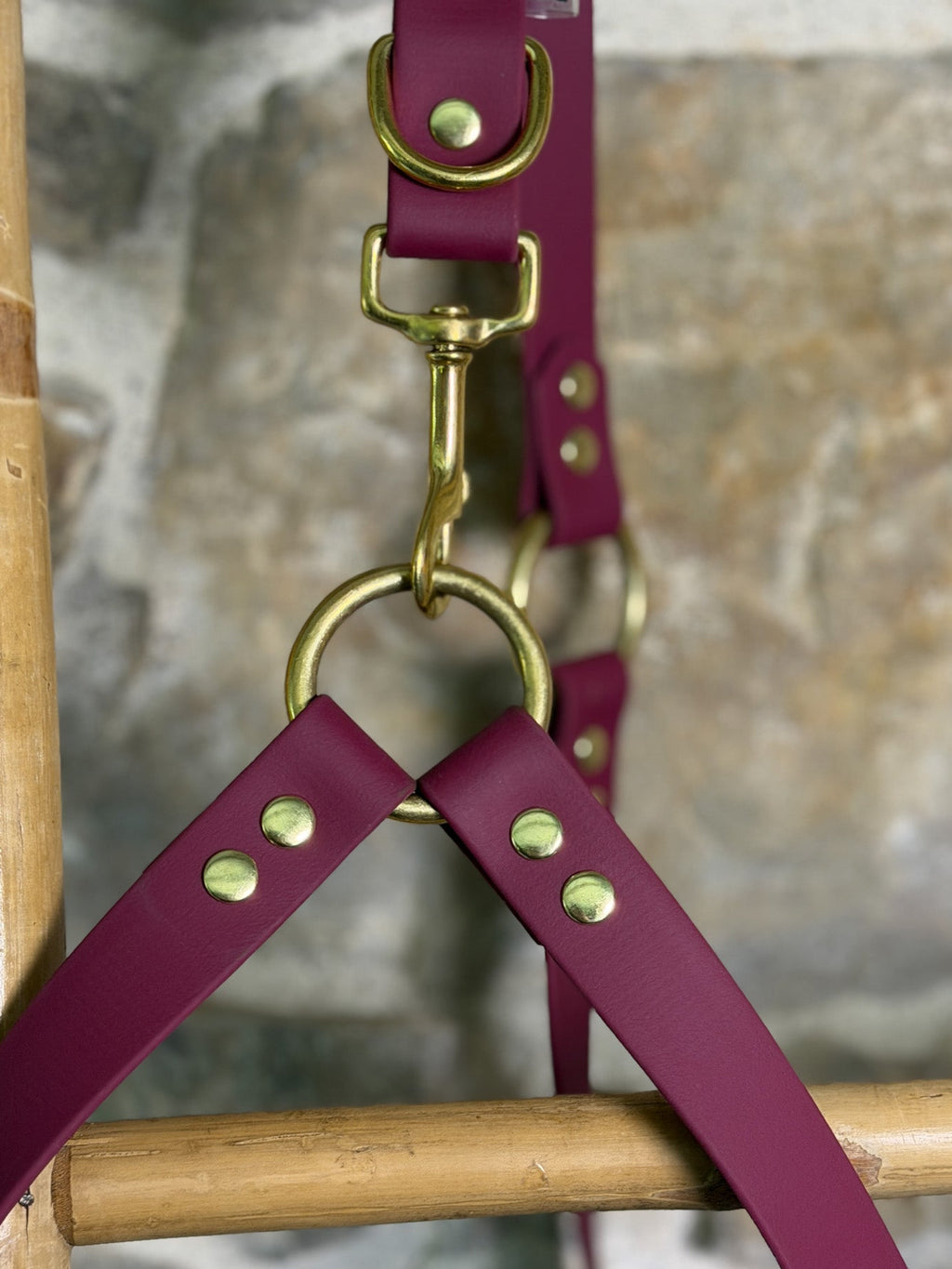 Laisse multi-position Vignoble