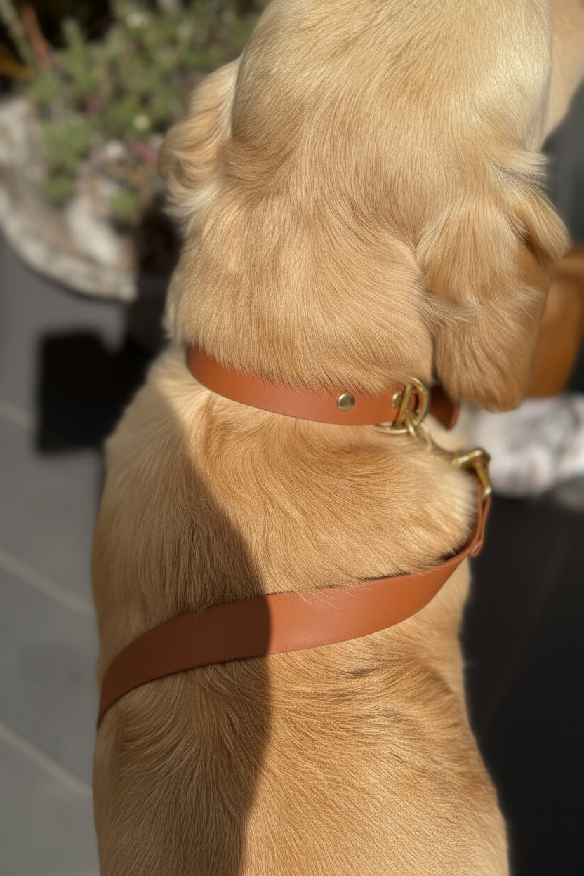Collier Désert